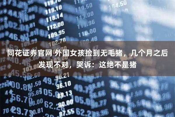 同花证券官网 外国女孩捡到无毛猪，几个月之后发现不对，哭诉：这绝不是猪