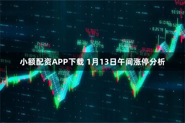小额配资APP下载 1月13日午间涨停分析