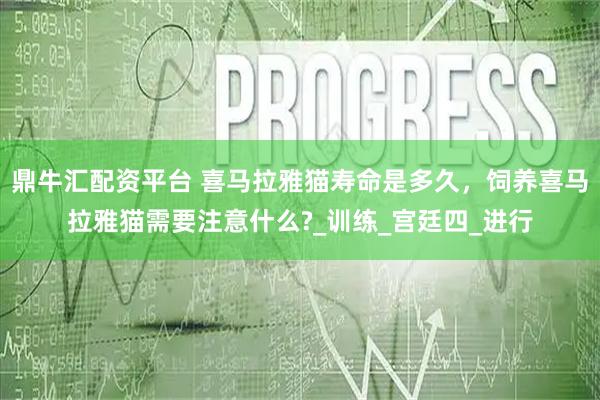 鼎牛汇配资平台 喜马拉雅猫寿命是多久，饲养喜马拉雅猫需要注意什么?_训练_宫廷四_进行