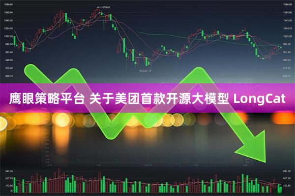 鹰眼策略平台 关于美团首款开源大模型 LongCat